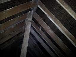 fkillineybeforeexternal 1415.jpg